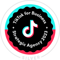 TikTok for Business Silver